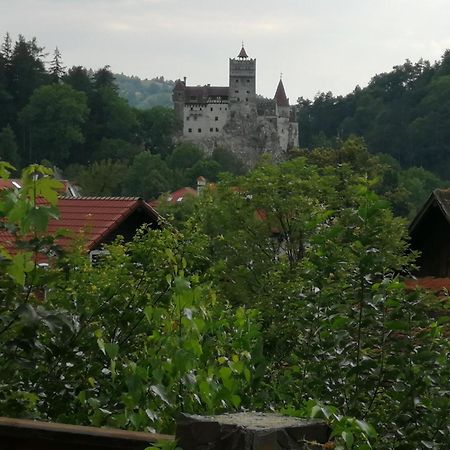 Pensiunea Transilvania Lodge برانْ المظهر الخارجي الصورة