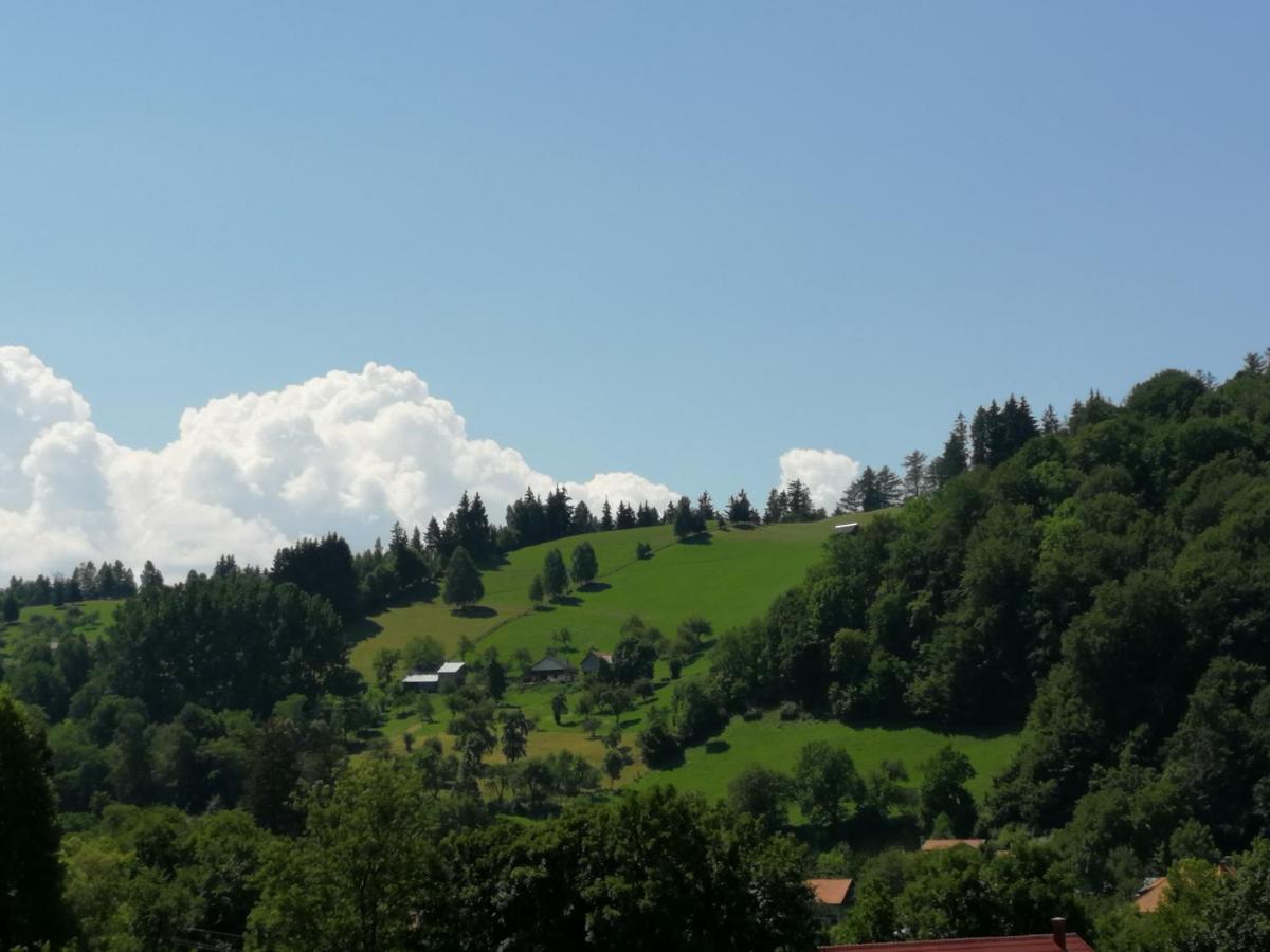 Pensiunea Transilvania Lodge برانْ المظهر الخارجي الصورة