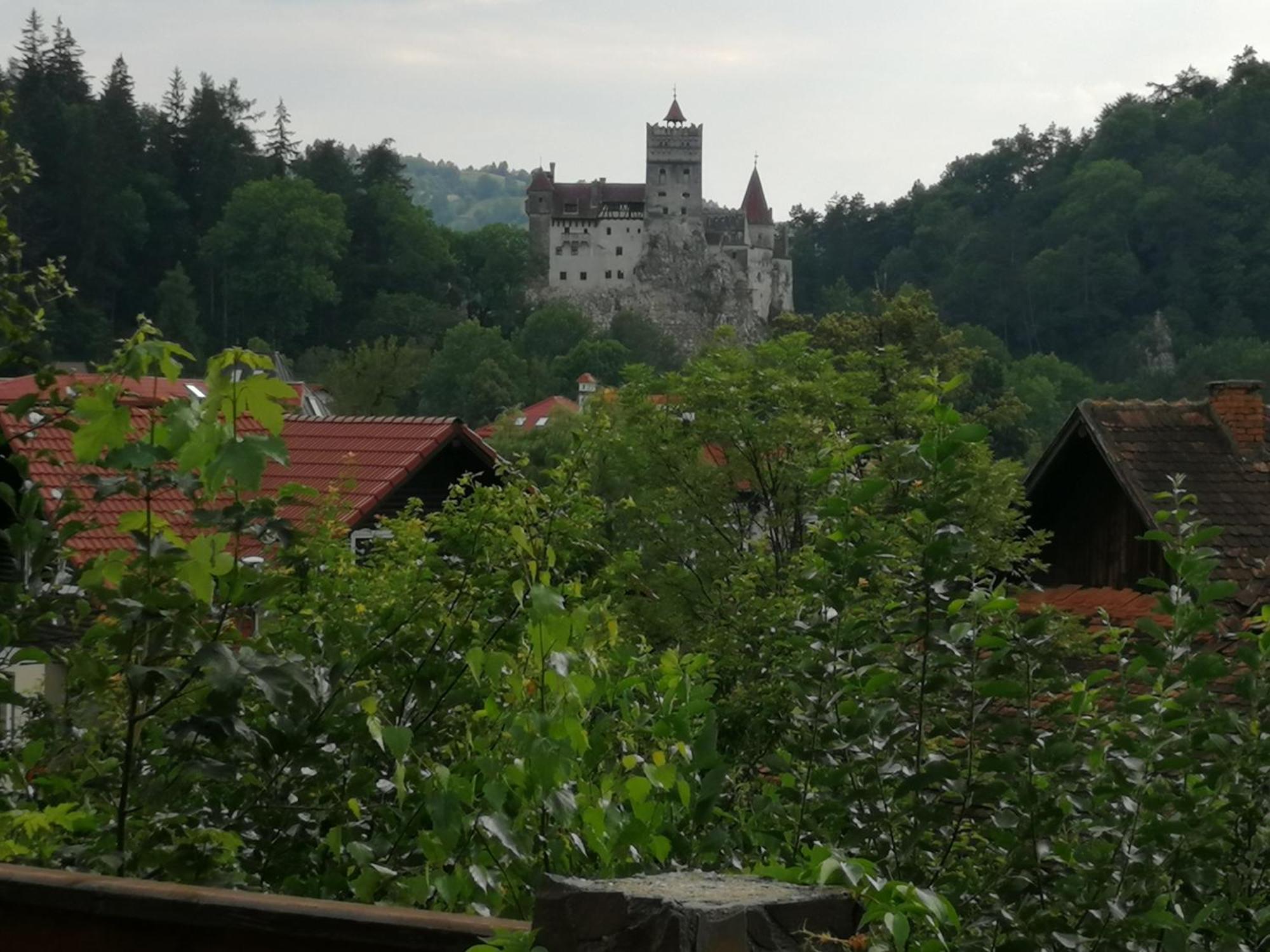Pensiunea Transilvania Lodge برانْ المظهر الخارجي الصورة