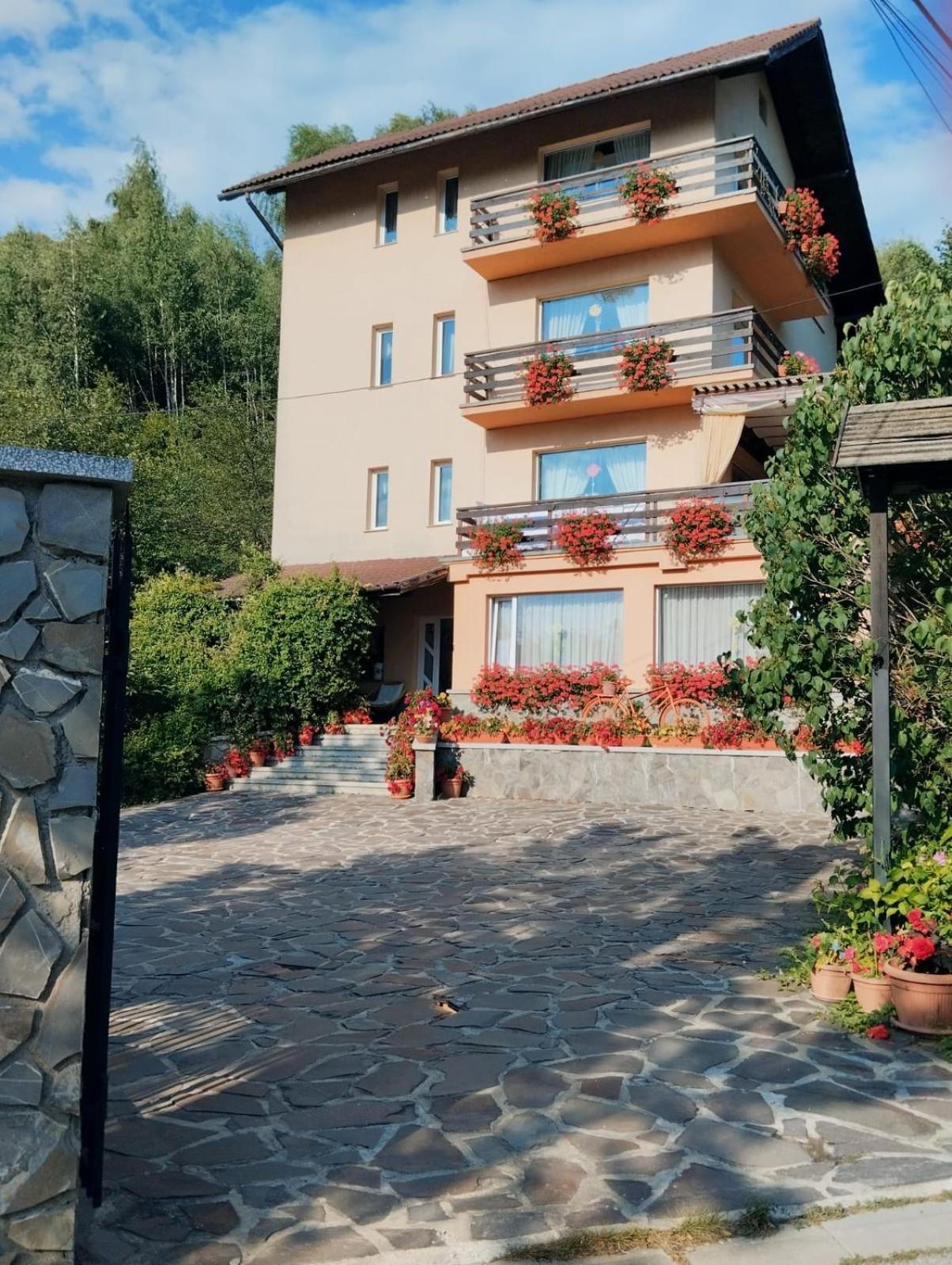 Pensiunea Transilvania Lodge برانْ المظهر الخارجي الصورة