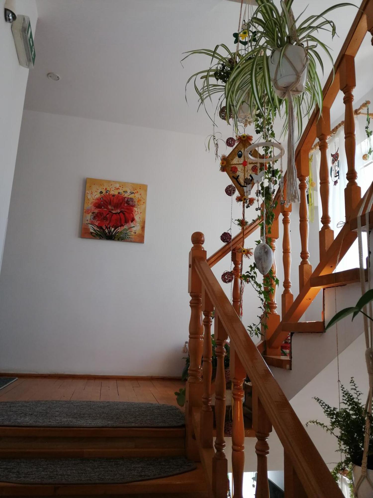 Pensiunea Transilvania Lodge برانْ المظهر الخارجي الصورة