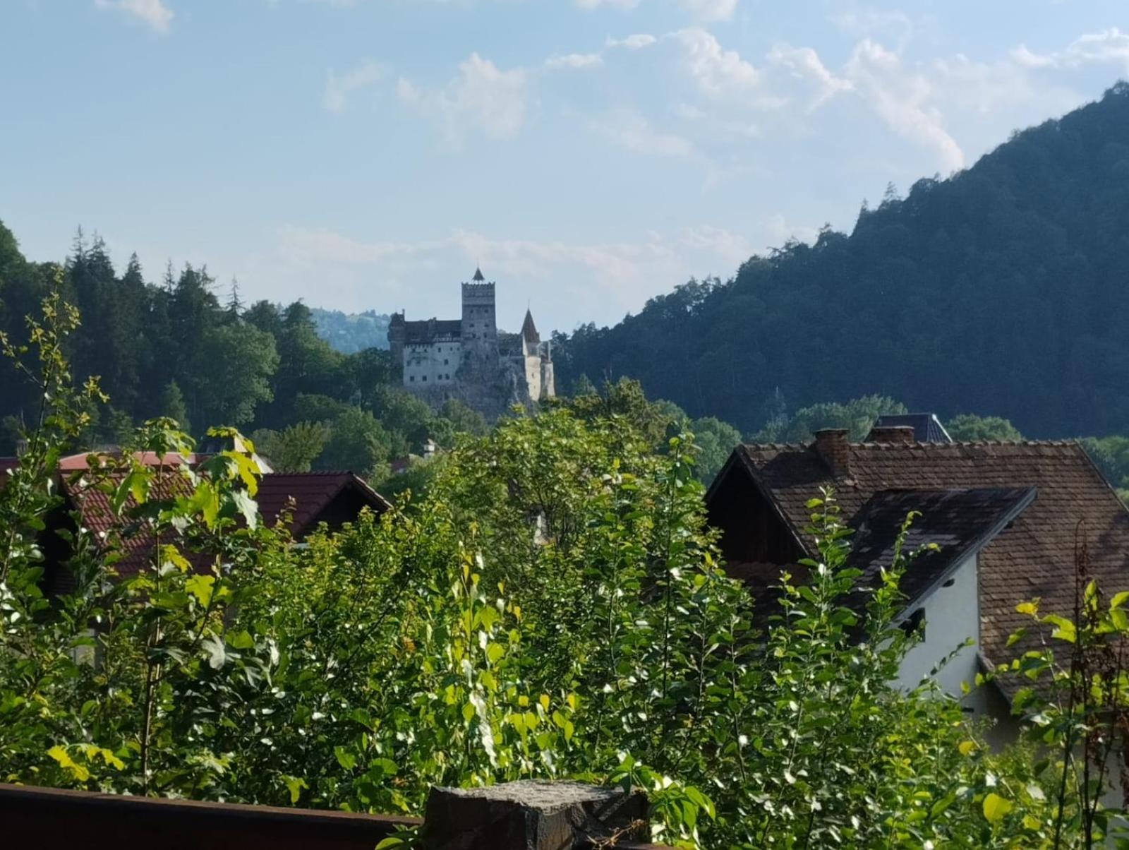 Pensiunea Transilvania Lodge برانْ المظهر الخارجي الصورة